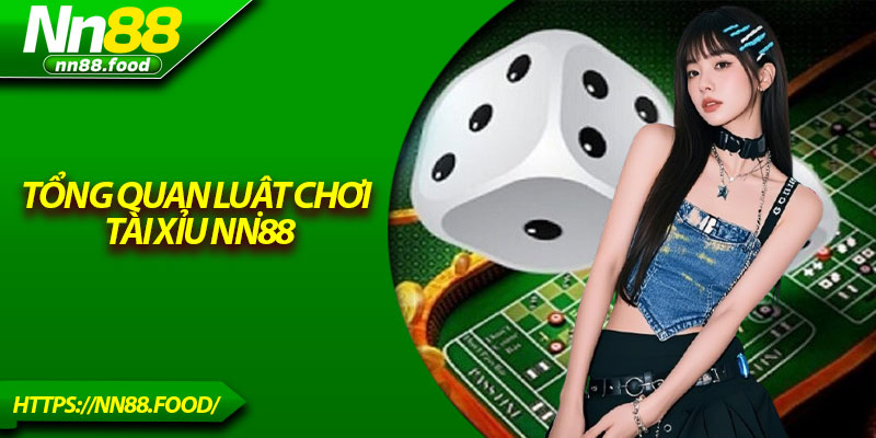 Tổng quan luật chơi tài xỉu NN88