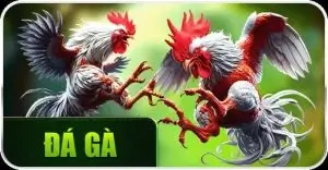 da ga 300x156 1